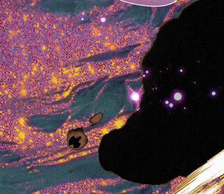 Đại Đế Vương Chapter 5 trang 52