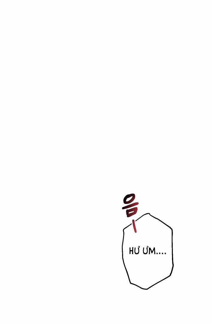 Đại Dương Kiêu Sa Chapter 55.1 trang 12