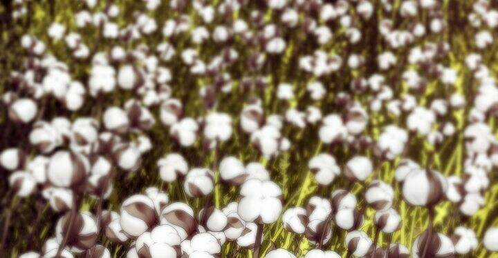 Đại Dương Kiêu Sa Chapter 67.2 trang 40