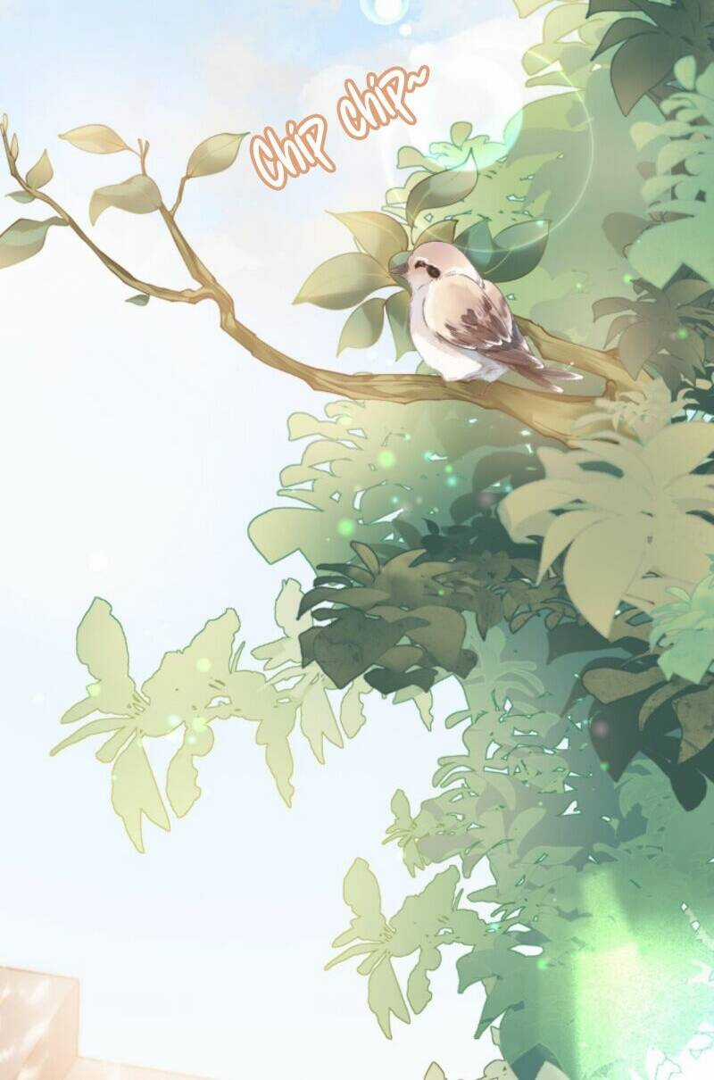 Đại Lão Huyền Học Xuống Núi Khuấy Động Cả Thế Giới Chapter 9 trang 3