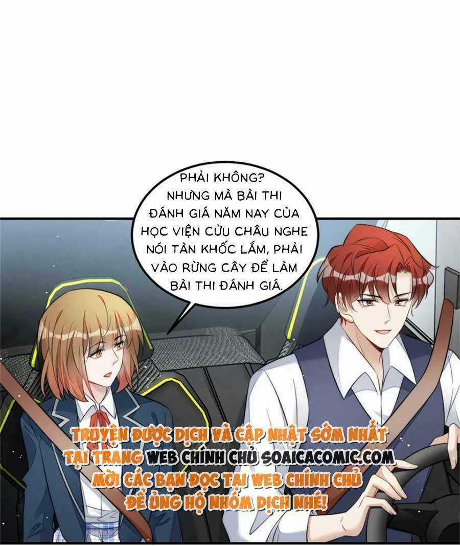 Đại Lão Nào Cũng Tranh Sủng Ta Chapter 243 trang 18