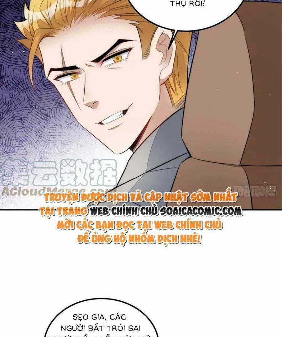 Đại Lão Nào Cũng Tranh Sủng Ta Chapter 243 trang 48