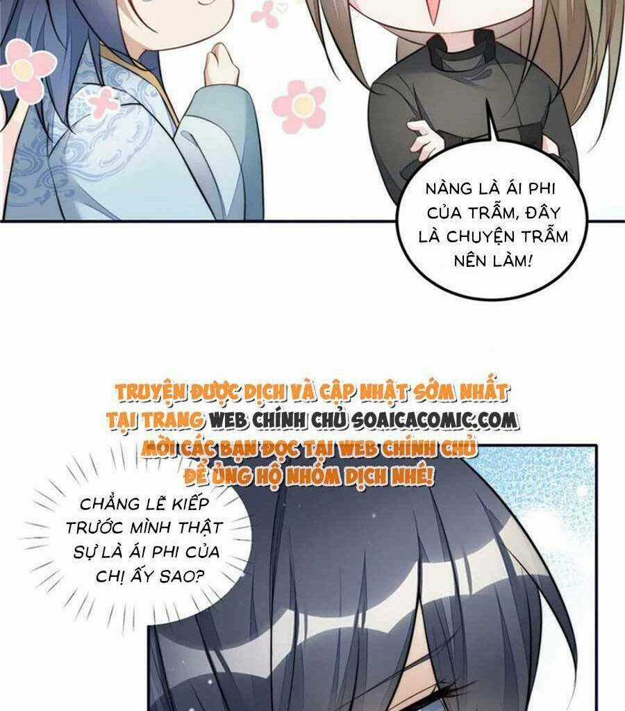 Đại Lão Nào Cũng Tranh Sủng Ta Chapter 247 trang 18