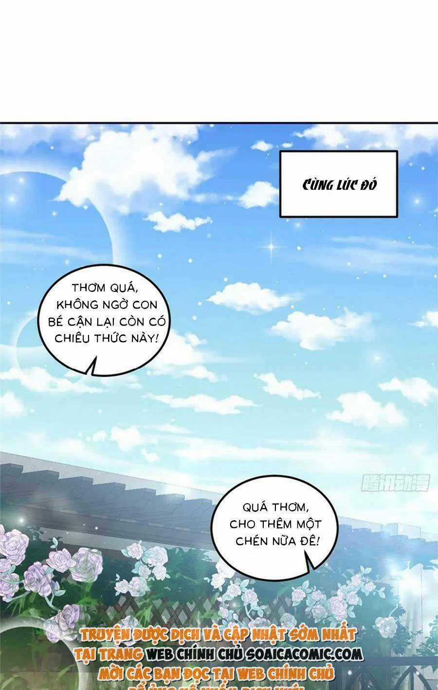 Đại Lão Nào Cũng Tranh Sủng Ta Chapter 247 trang 20