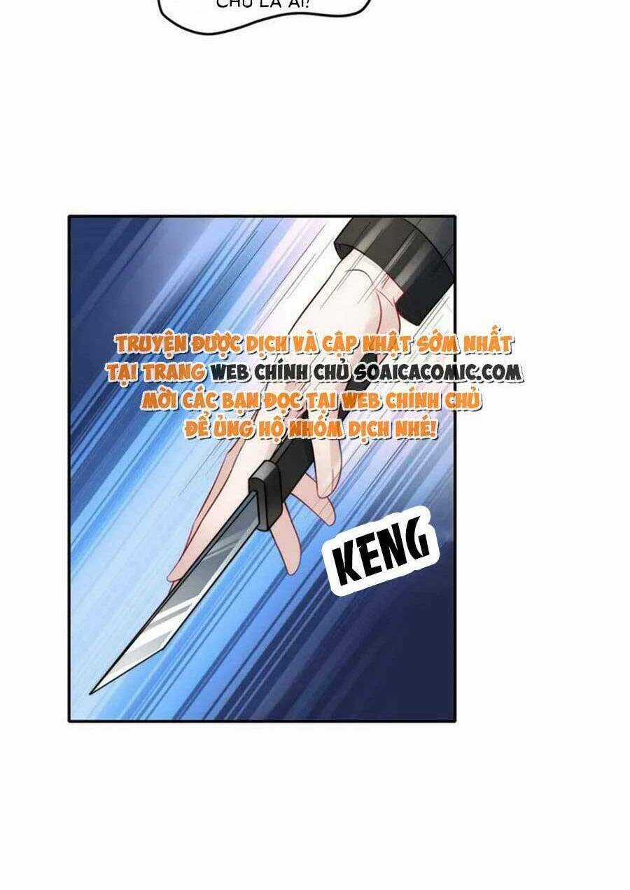 Đại Lão Nào Cũng Tranh Sủng Ta Chapter 247 trang 3