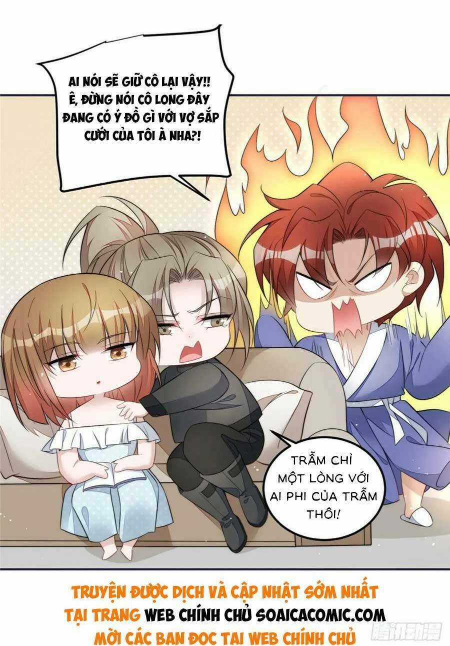 Đại Lão Nào Cũng Tranh Sủng Ta Chapter 251 trang 12