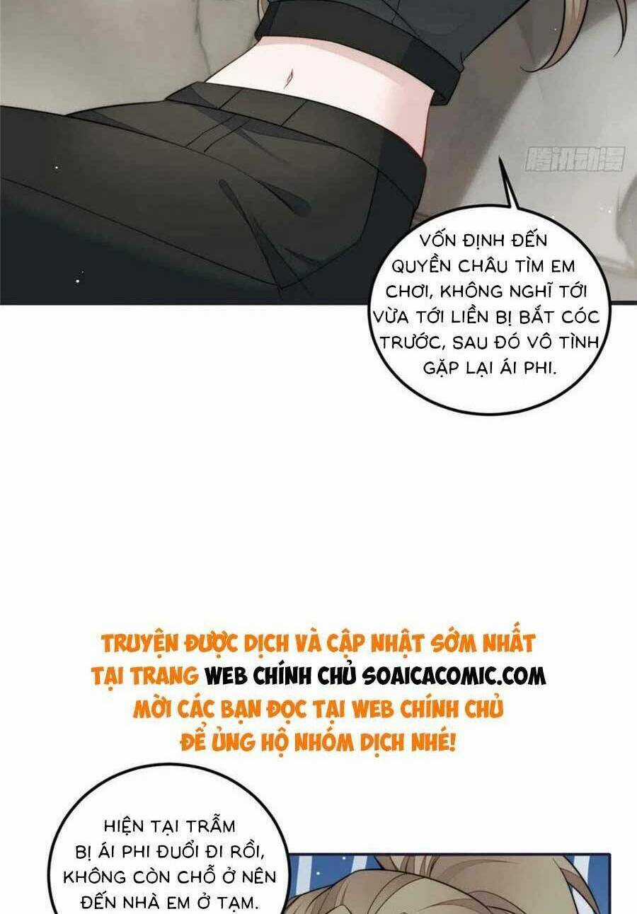 Đại Lão Nào Cũng Tranh Sủng Ta Chapter 251 trang 15