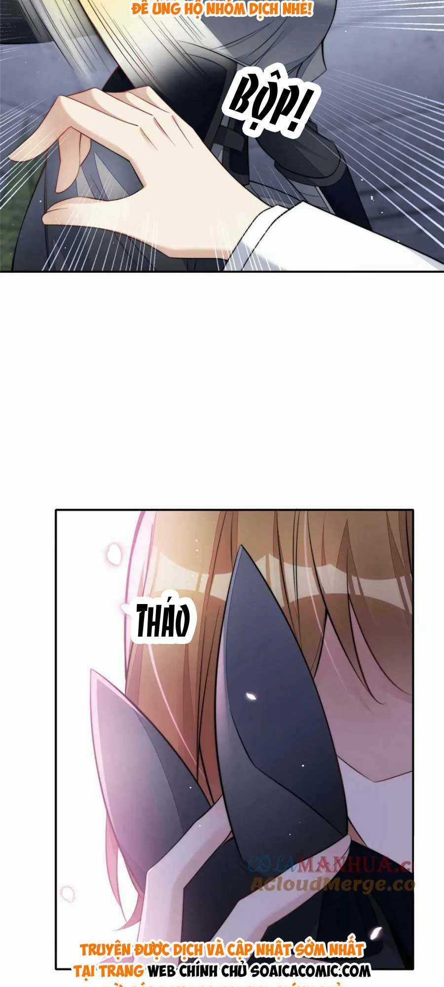 Đại Lão Nào Cũng Tranh Sủng Ta Chapter 263 trang 12