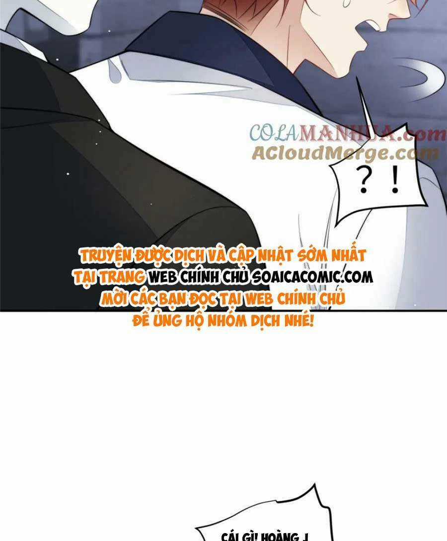 Đại Lão Nào Cũng Tranh Sủng Ta Chapter 263 trang 9