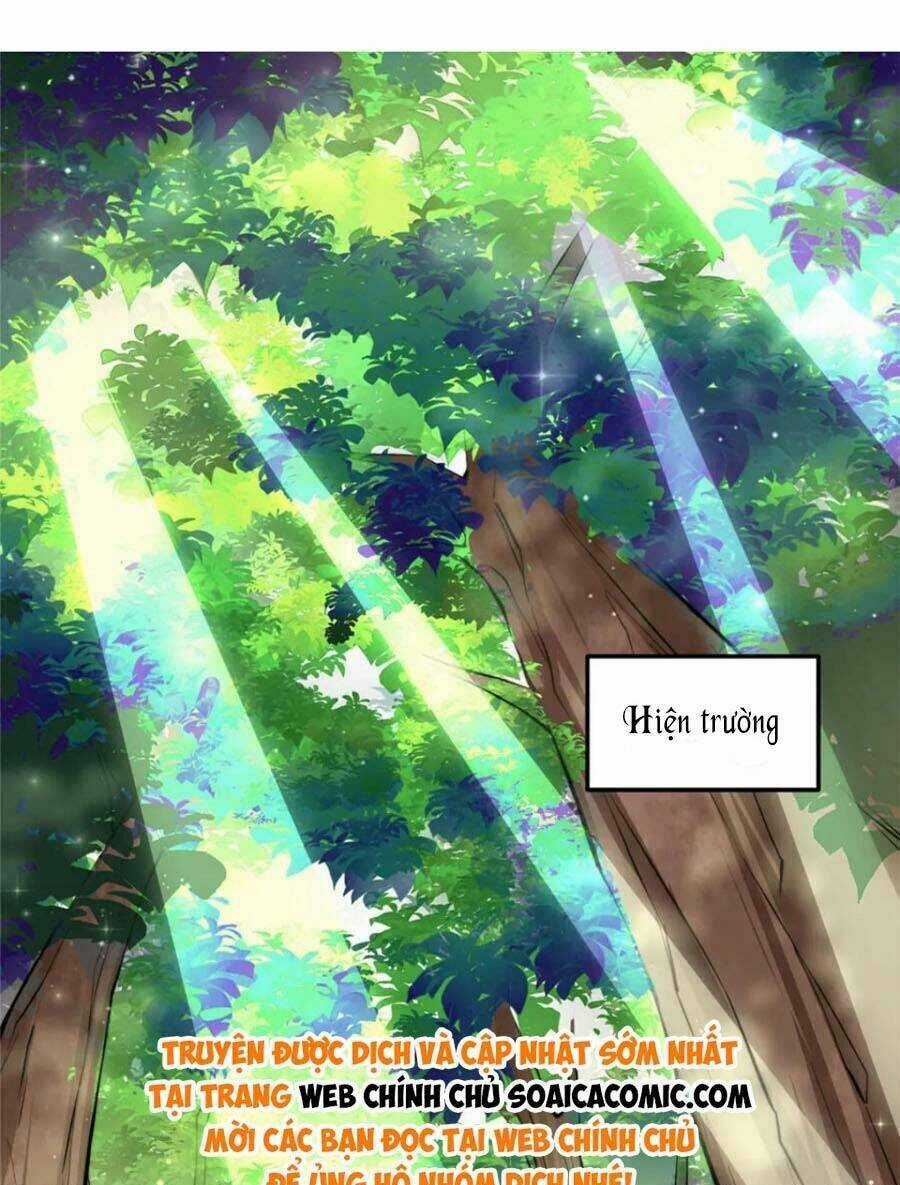 Đại Lão Nào Cũng Tranh Sủng Ta Chapter 265 trang 22