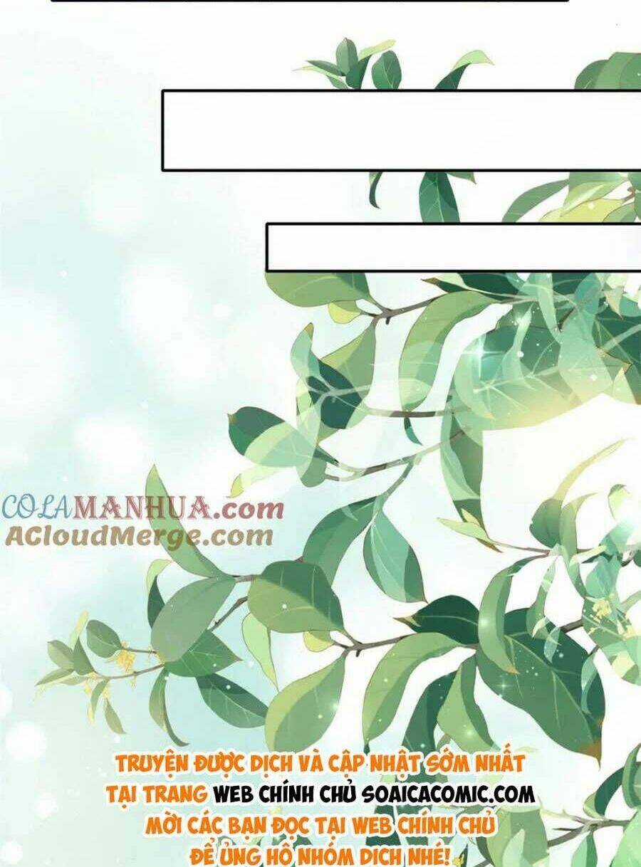 Đại Lão Nào Cũng Tranh Sủng Ta Chapter 265 trang 42