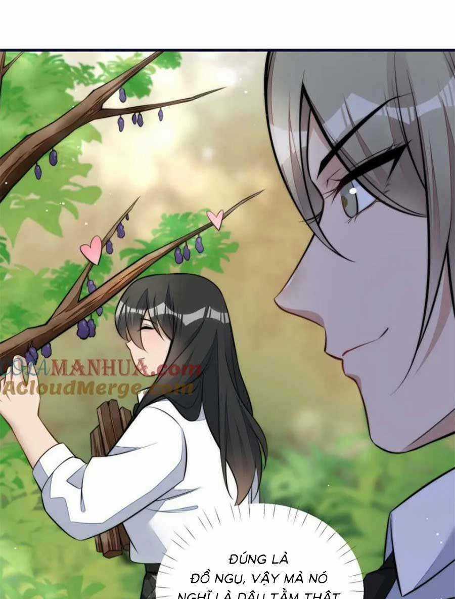 Đại Lão Nào Cũng Tranh Sủng Ta Chapter 275 trang 41