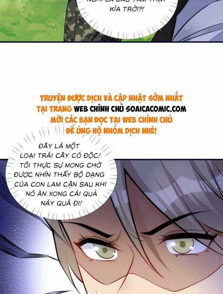 Đại Lão Nào Cũng Tranh Sủng Ta Chapter 275 trang 42