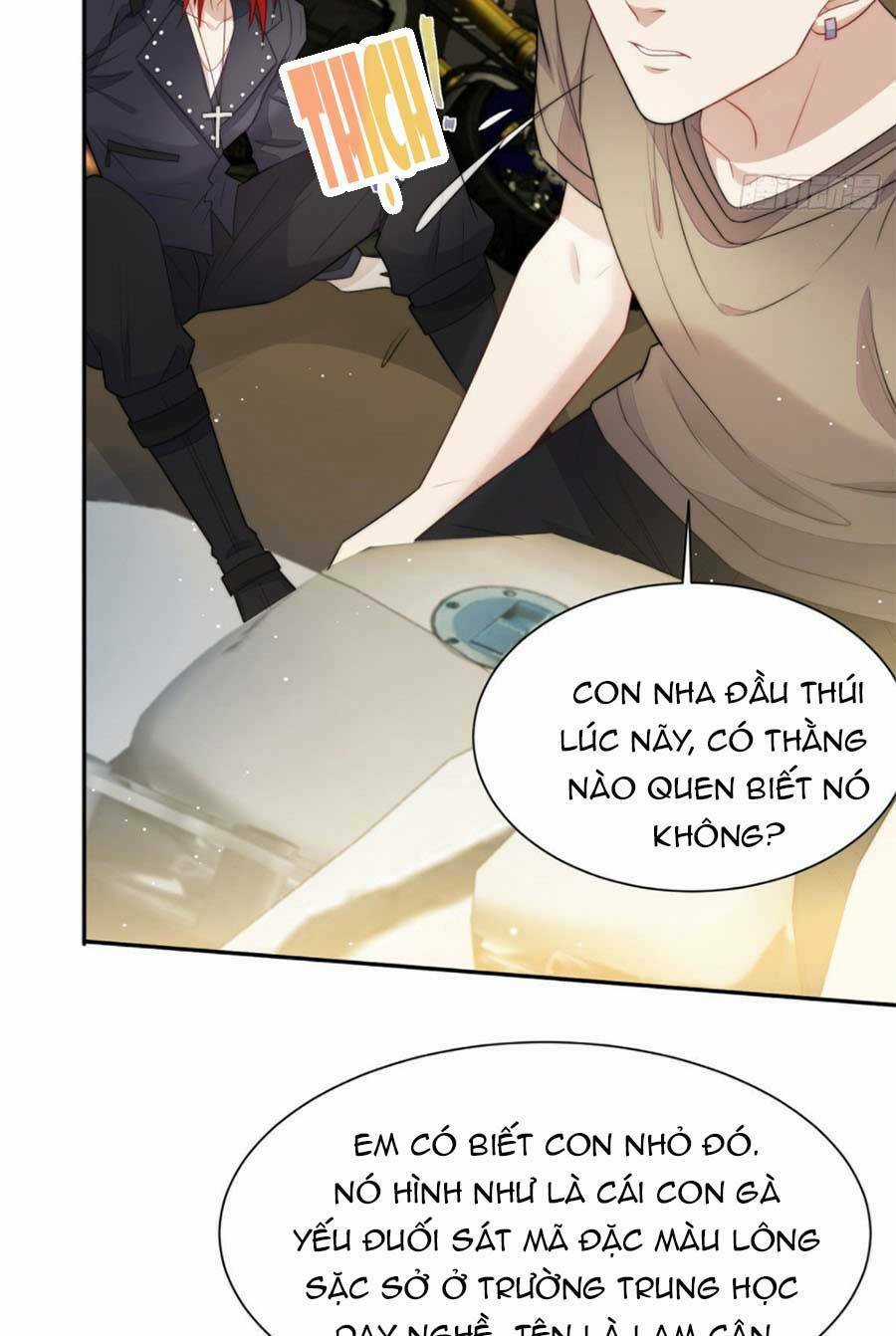 Đại Lão Nào Cũng Tranh Sủng Ta Chapter 35 trang 20