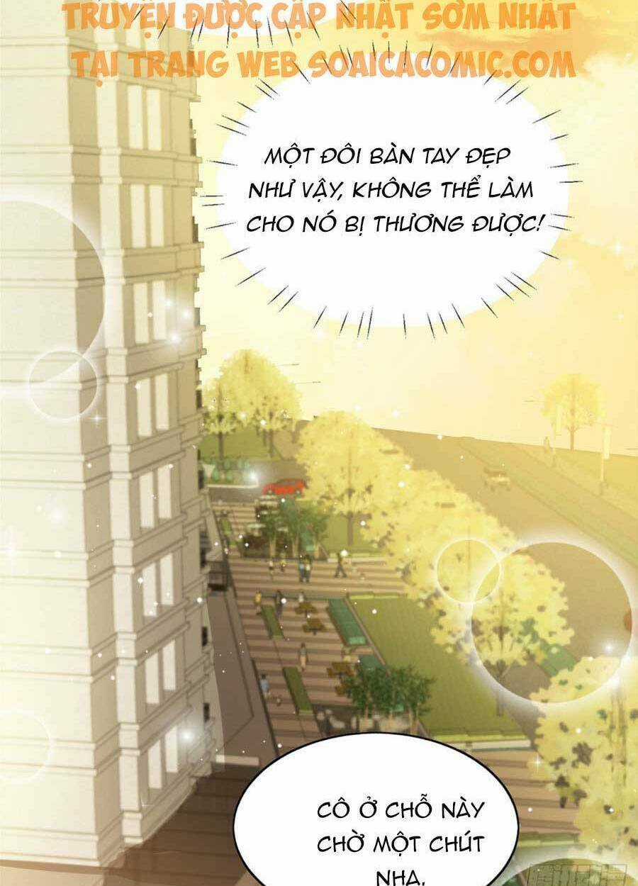 Đại Lão Nào Cũng Tranh Sủng Ta Chapter 37 trang 24