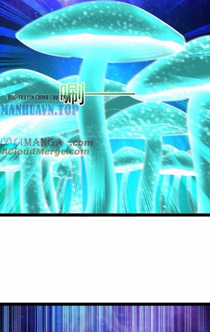 Đại Liên Minh Phản Xuyên Việt Của Bạo Quân Chapter 68 trang 14