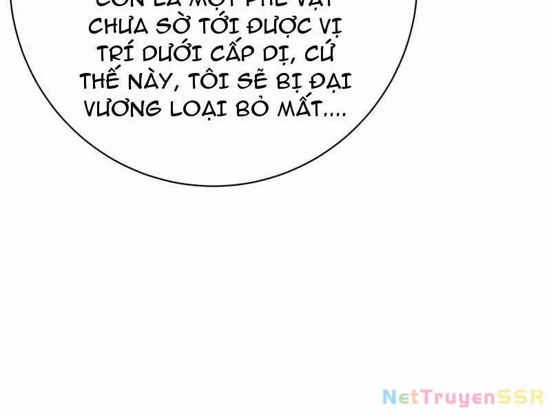 Đại Liên Minh Phản Xuyên Việt Của Bạo Quân Chapter 75 trang 14