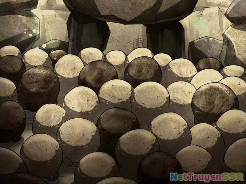 Đại Liên Minh Phản Xuyên Việt Của Bạo Quân Chapter 81 trang 67