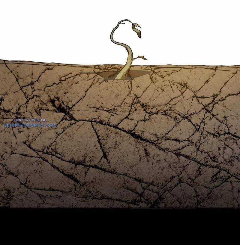 Đại Lộ Vô Danh Chương 48 trang 13