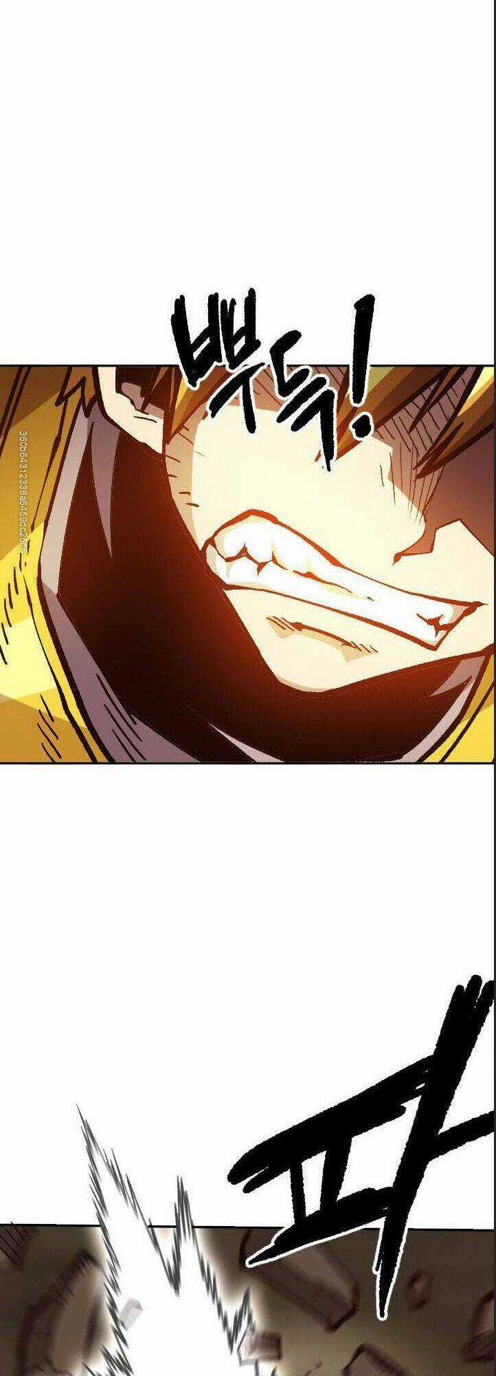 Đại Lục Vô Song Chapter 40 trang 14