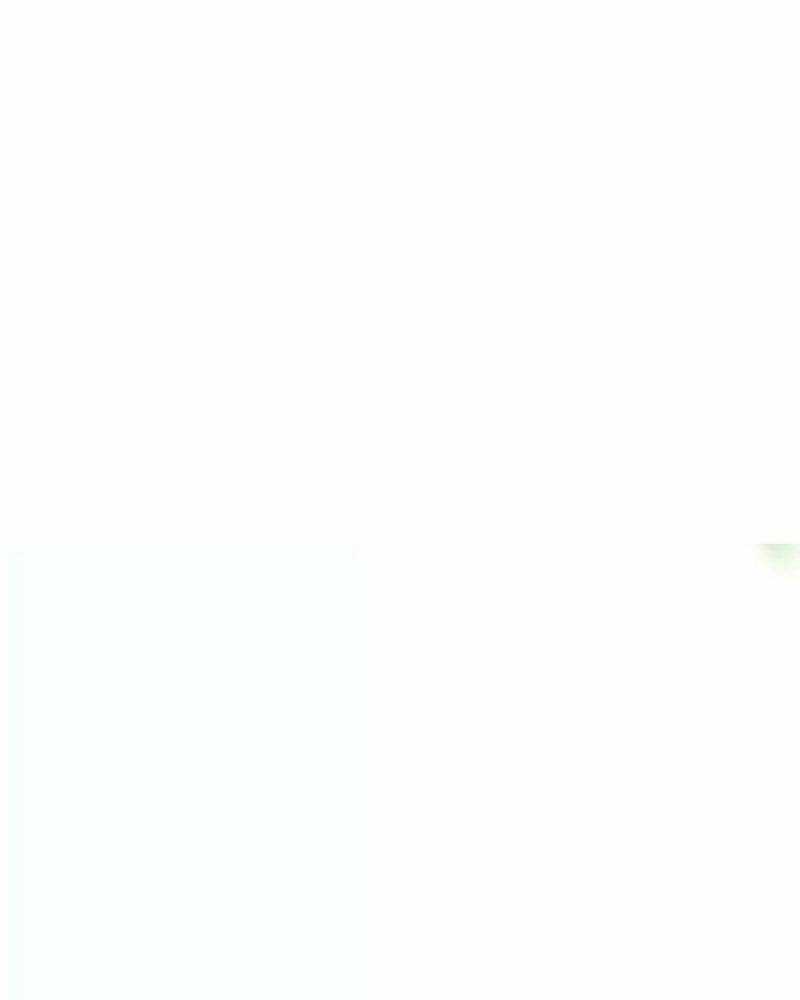 Đại Pháp Sư Mở Nhà Hàng Chương 28 trang 205