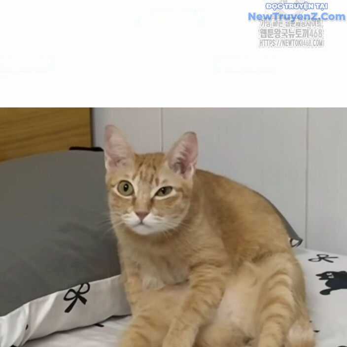 Đại Pháp Sư Mở Nhà Hàng Chương 77 trang 204