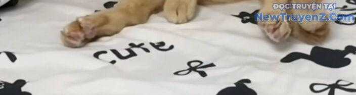 Đại Pháp Sư Mở Nhà Hàng Chương 77 trang 205