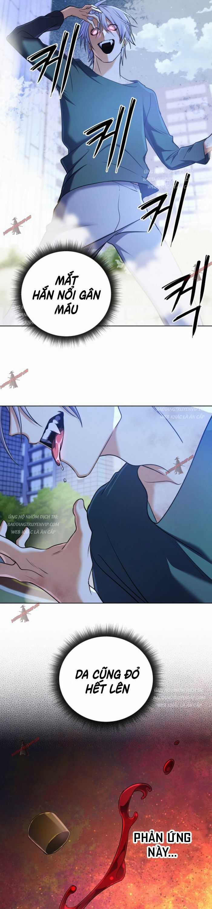 Đại Pháp Sư Thần Thoại Tái Lâm Chapter 22 trang 11