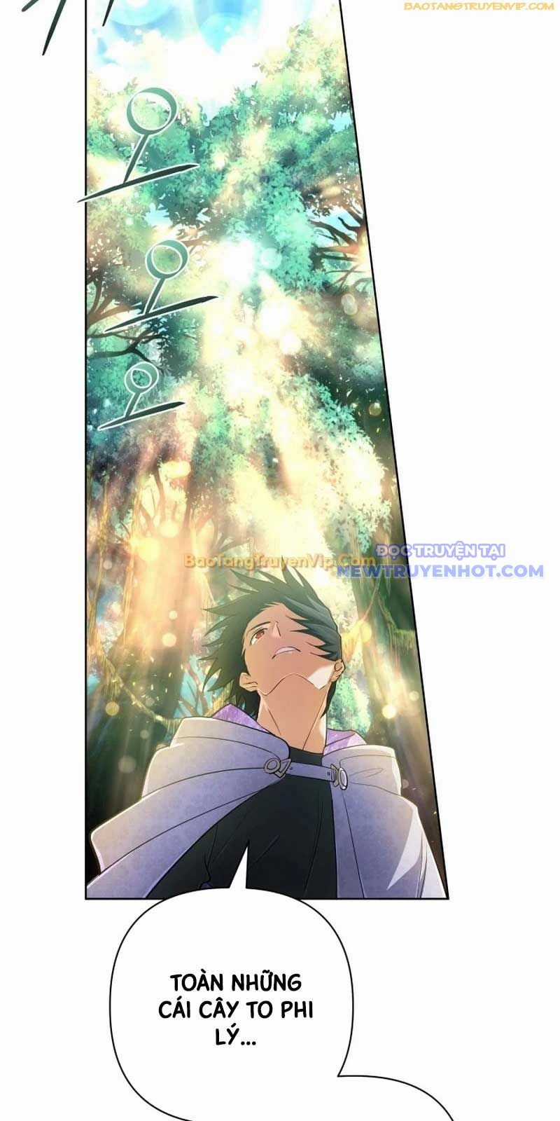 Đại Pháp Sư Thần Thoại Tái Lâm Chapter 39 trang 43