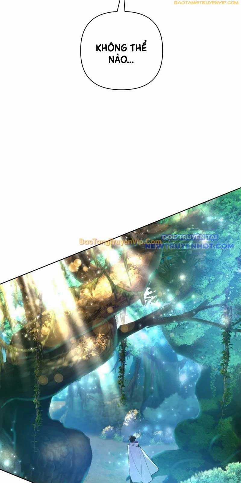 Đại Pháp Sư Thần Thoại Tái Lâm Chapter 39 trang 46