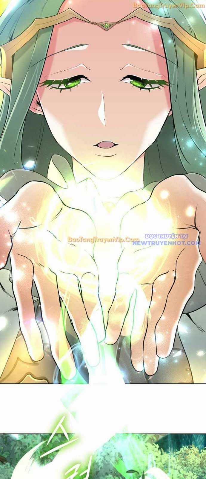 Đại Pháp Sư Thần Thoại Tái Lâm Chapter 40 trang 16