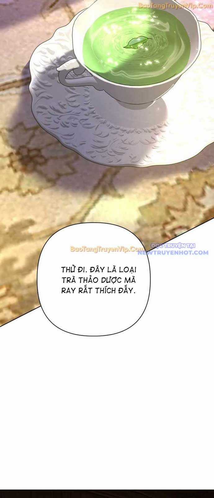 Đại Pháp Sư Thần Thoại Tái Lâm Chapter 40 trang 41