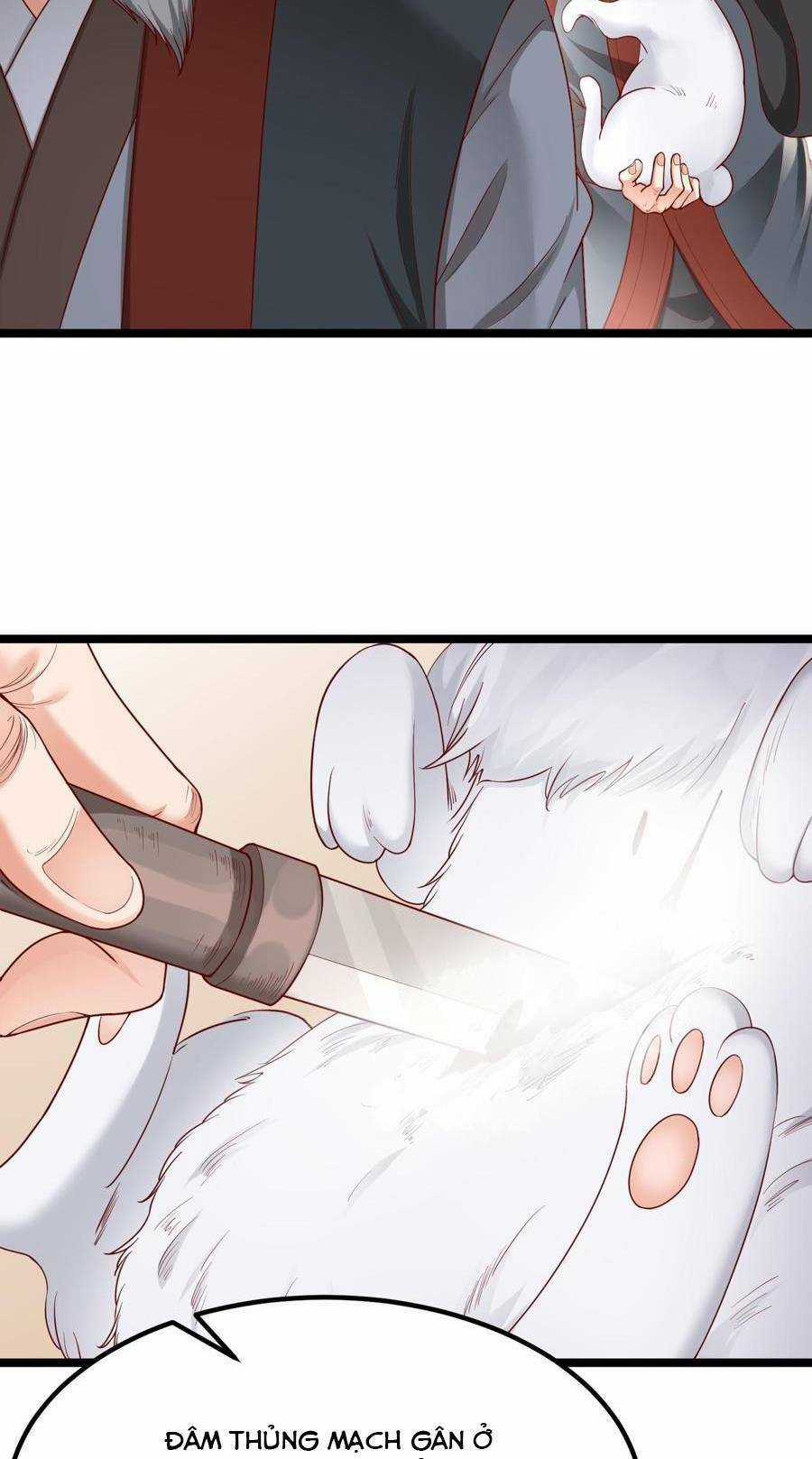 Đại Tần: Ta Con Trai Tần Thủy Hoàng Giết Địch Thăng Cấp Thành Thần Chương 11 trang 65