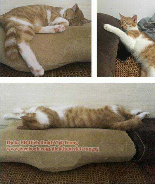 Đại Thánh Và Tiểu Yêu Chapter 30 trang 12