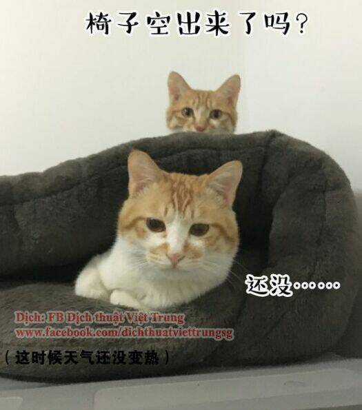 Đại Thánh Và Tiểu Yêu Chapter 30 trang 8