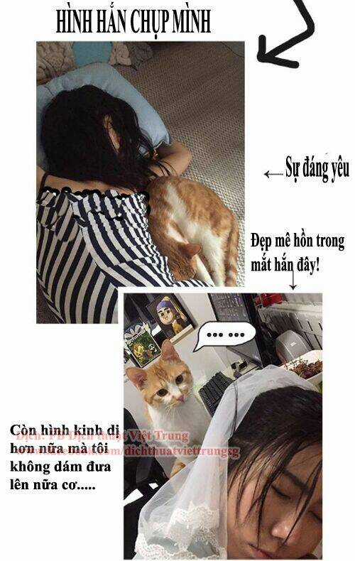 Đại Thánh Và Tiểu Yêu Chapter 33 trang 7