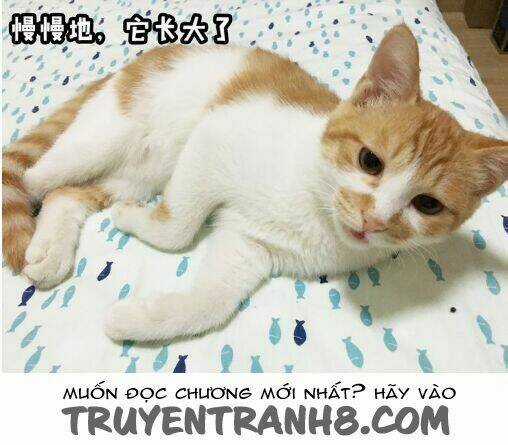 Đại Thánh Và Tiểu Yêu Chapter 7 trang 12