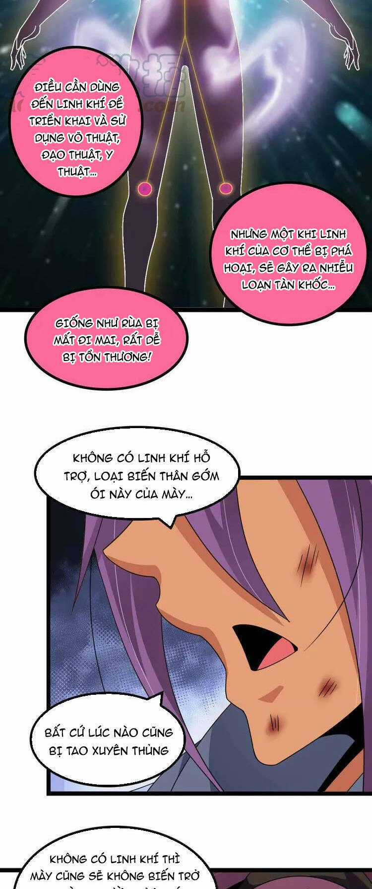 Đại Thiên Tài Bất Khả Chiến Bại Chính Là Ta Chương 162 trang 26