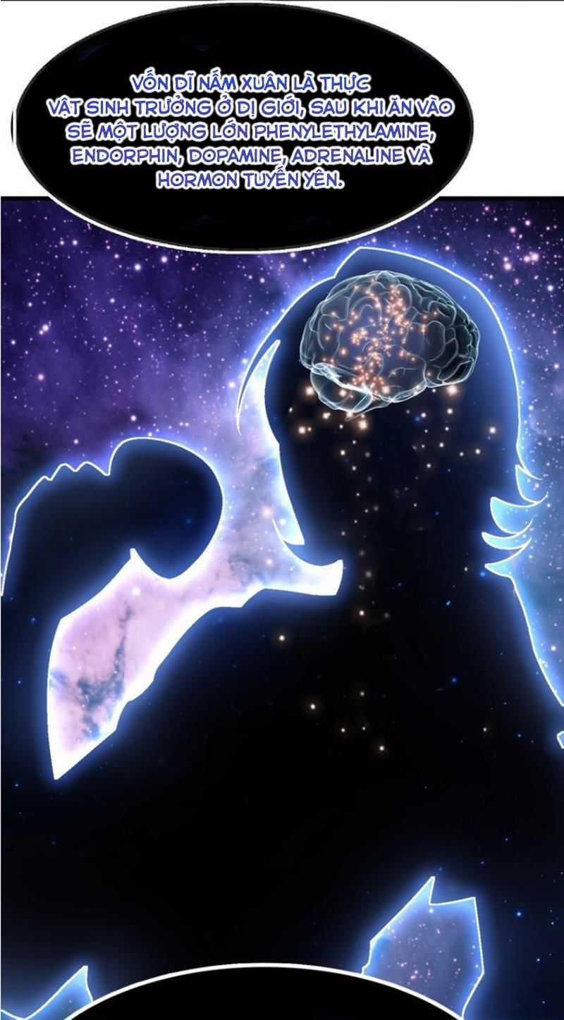 Đại Thiên Tài Bất Khả Chiến Bại Chính Là Ta Chương 31 trang 27