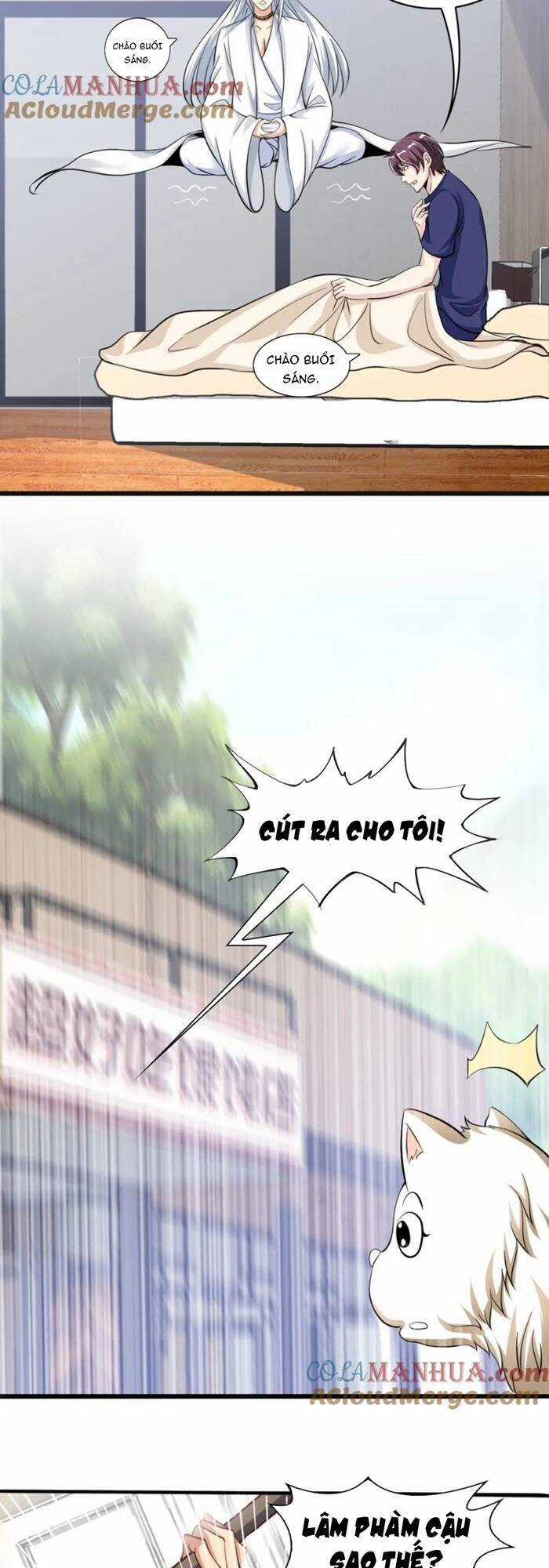 Đại Thiên Tài Bất Khả Chiến Bại Chính Là Ta Chương 42 trang 19