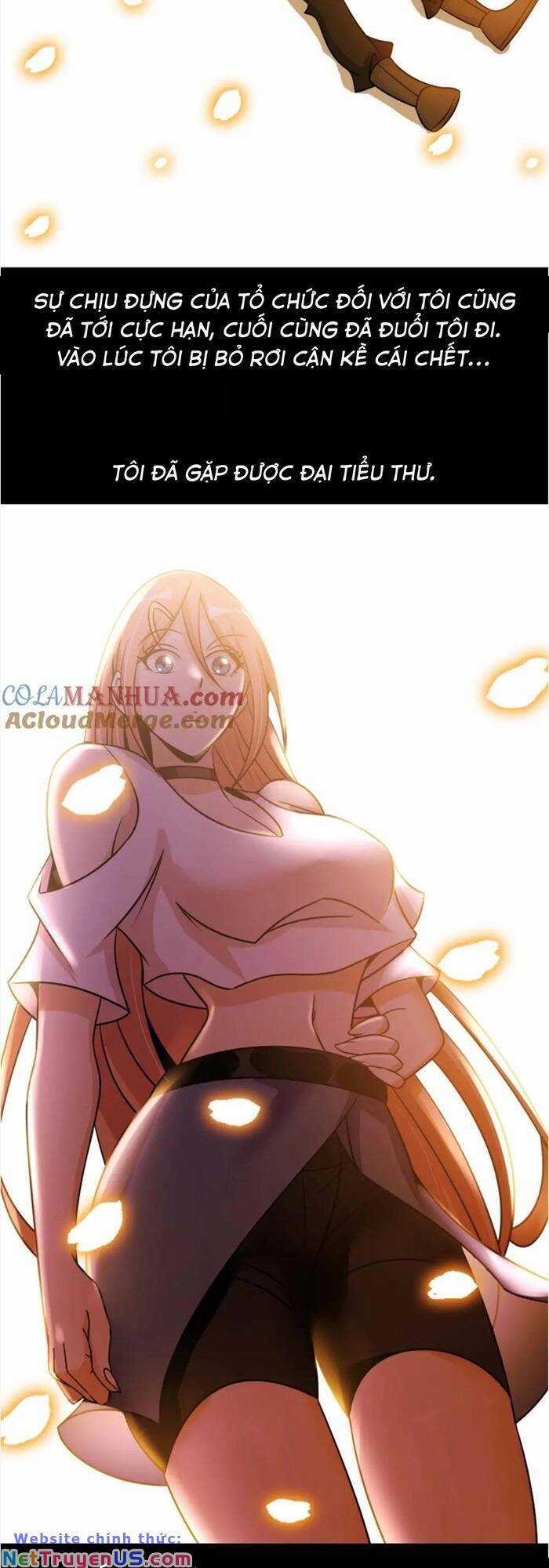 Đại Thiên Tài Bất Khả Chiến Bại Chính Là Ta Chương 59 trang 13