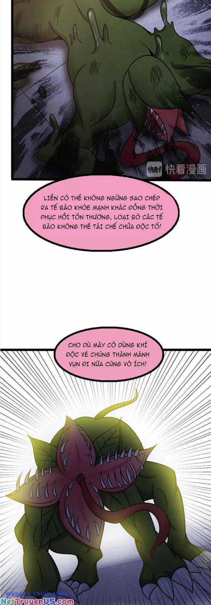 Đại Thiên Tài Bất Khả Chiến Bại Chính Là Ta Chương 59 trang 5