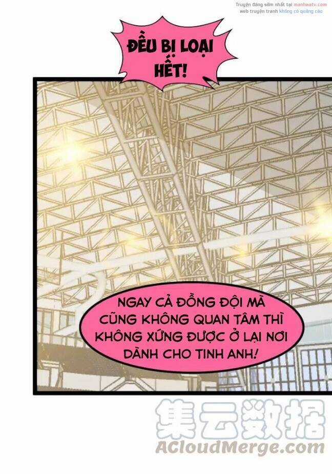 Đại Thiên Tài Bất Khả Chiến Bại Chính Là Ta Chương 84 trang 13