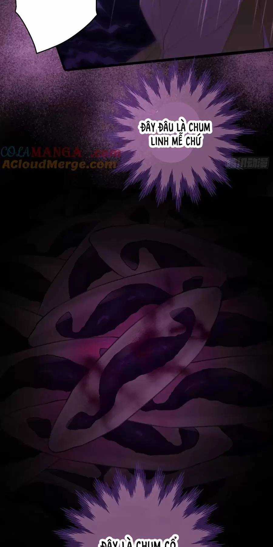 Đại Thừa Kỳ Mới Có Nghịch Tập Hệ Thống Chapter 12 trang 23