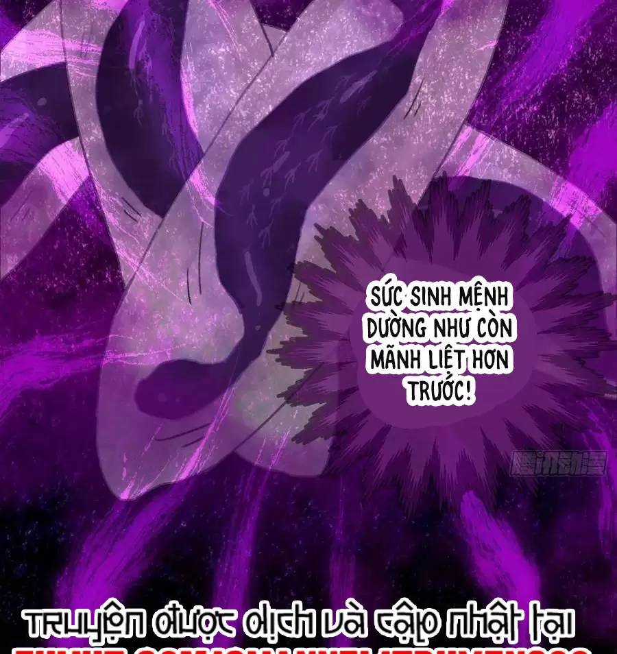 Đại Thừa Kỳ Mới Có Nghịch Tập Hệ Thống Chapter 12 trang 30