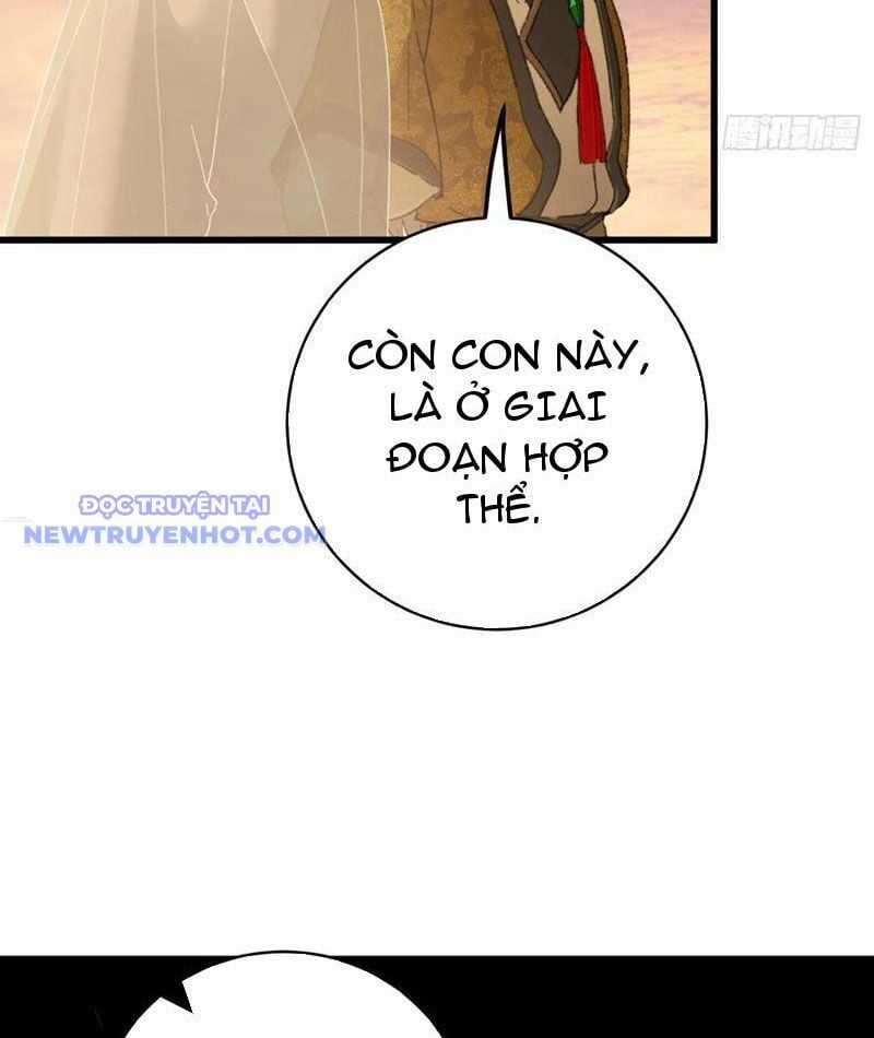 Đại Thừa Kỳ Mới Có Nghịch Tập Hệ Thống Chapter 45 trang 62