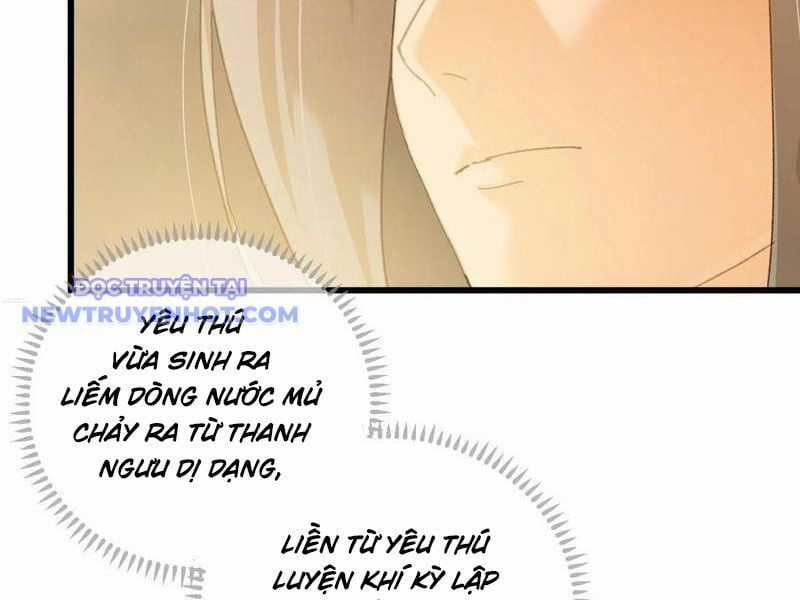 Đại Thừa Kỳ Mới Có Nghịch Tập Hệ Thống Chapter 47 trang 12