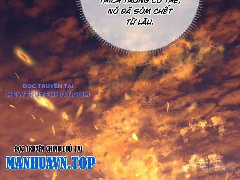 Đại Thừa Kỳ Mới Có Nghịch Tập Hệ Thống Chapter 47 trang 161
