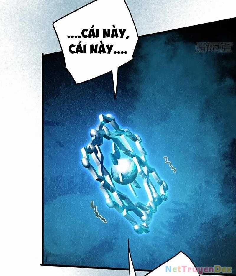 Đại Thừa Kỳ Mới Có Nghịch Tập Hệ Thống Chapter 49 trang 13