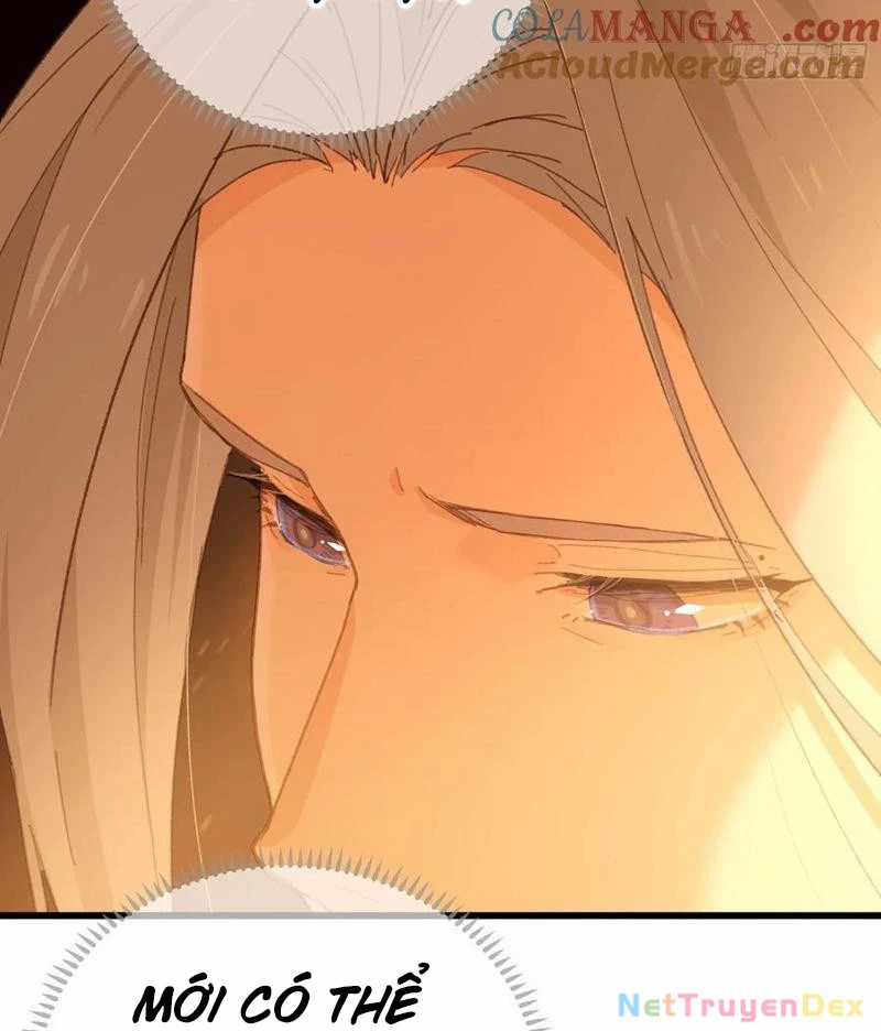 Đại Thừa Kỳ Mới Có Nghịch Tập Hệ Thống Chapter 49 trang 19